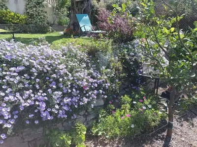 Jardin de l'établissement Appartement dans villa avec jardin privatif