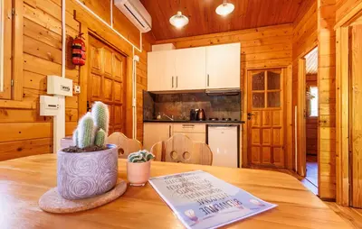 Cuisine ou kitchenette dans l'établissement Alivi Di A Restonica