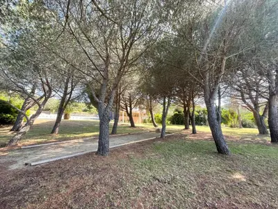 Jardin de l'établissement SAINT FLORENT studio terrasse 2 à 3 personnes calme avec piscine au sel