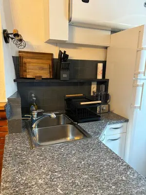 Cuisine ou kitchenette dans l'établissement Appartement Spacieux Vue Montagne- Parking gratuit- Proche ÎLE ROUSSE