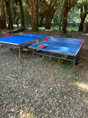 Tennis de table au sein de l'établissement Suite de 2 chambres - Cap Corse - Domaine 1001 nuits ou à proximité