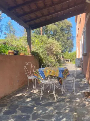 Plan de l'établissement Appartement T2 Alistro San Giuliano Corse