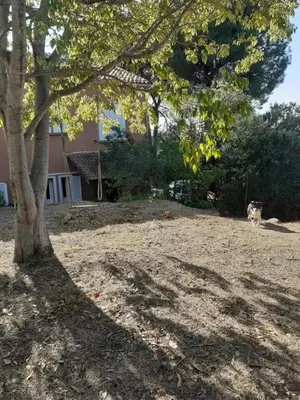 Jardin de l'établissement Appartement T2 Alistro San Giuliano Corse