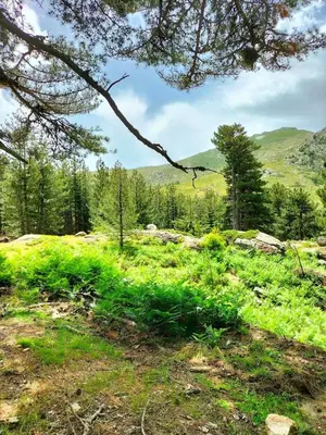 Paysage naturel près de l'appartement