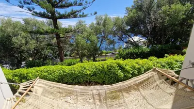 Jardin de l'établissement Appartement Vue Mer - T2 Grisgione - Bastia
