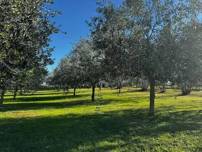 Jardin de l'établissement Maison à 2 minutes de la mer en voiture