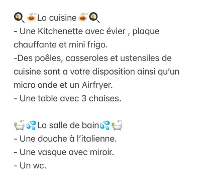 Plan de l'établissement Studio vue sur les clémentiniers