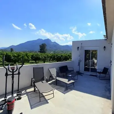 Studio vue sur les clémentiniers