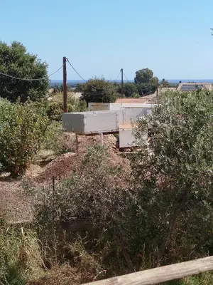Plan de l'établissement studio piscine en Haute Corse