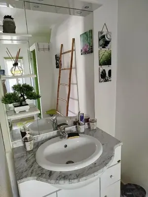 Plan de l'établissement studio piscine en Haute Corse
