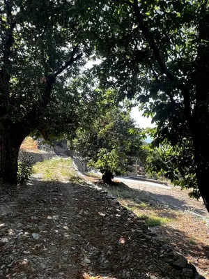 Paysage naturel près de la maison de vacances