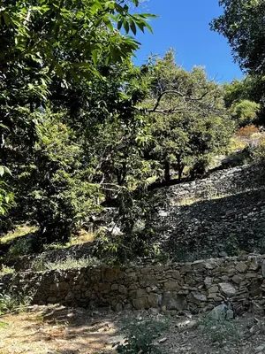 Paysage naturel près de la maison de vacances