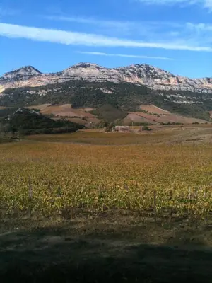 Paysage naturel près de l'appartement