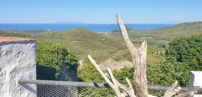 Paysage naturel près de la maison de vacances