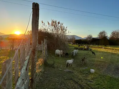 Paysage naturel près de la maison de vacances