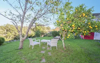 Jardin de l'établissement Nice Apartment In Erbalunga With Wifi