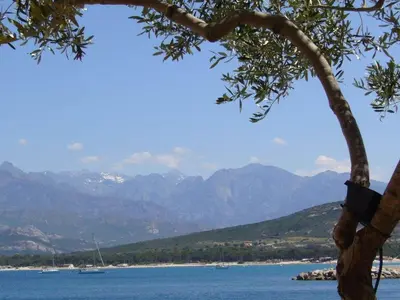 Plan de l'établissement Holiday apartment with 1 bedroom