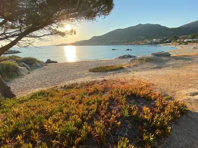 Paysage naturel près de l'appartement