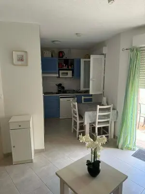 Cuisine ou kitchenette dans l'établissement Mini villa Corse