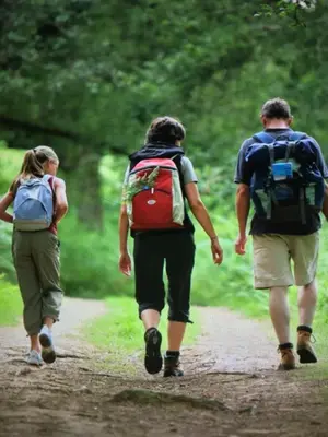 Clients de l'établissement Camping les Orangers