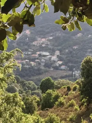 Paysage naturel près de la maison de vacances