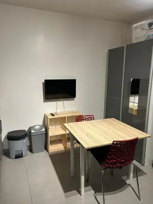 Télévision ou salle de divertissement dans l'établissement Charmant studio en centre-ville