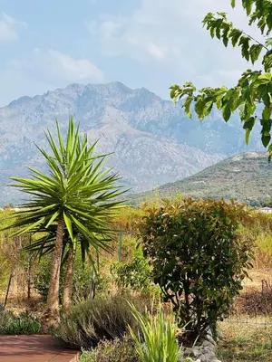 Paysage naturel près de la maison de vacances