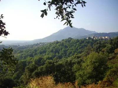Paysage naturel près de la maison de vacances