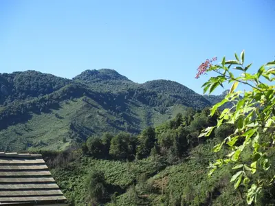 Paysage naturel près de l'appartement