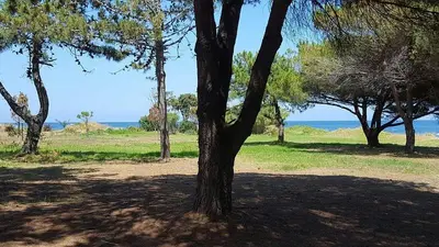 Paysage naturel près de l'appartement