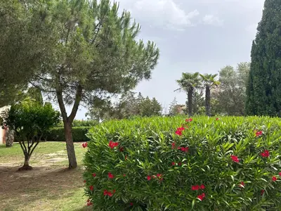 Jardin de l'établissement Appartement avec piscines et plage à pied