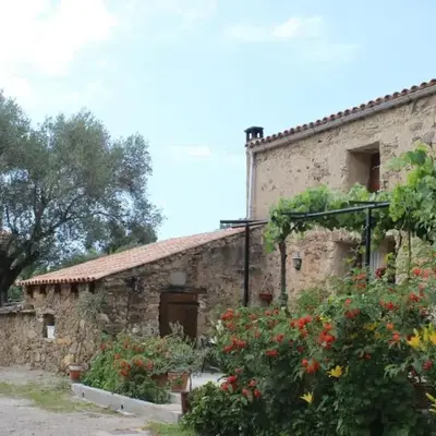 Pietra-monetta