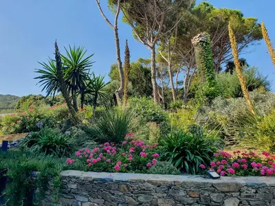 Jardin de l'établissement Villa With Direct Sea Access In Cap Corse