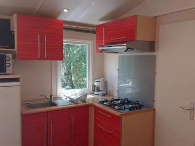 Cuisine ou kitchenette dans l'établissement Mobil home 6 personnes avec terrasse à Vico - API-1-52-841