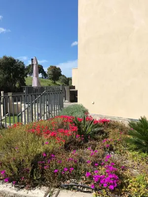 Jardin de l'établissement A Murella - maison de vacances à Oletta en Corse