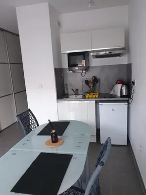 Cuisine ou kitchenette dans l'établissement Studio récent Corte