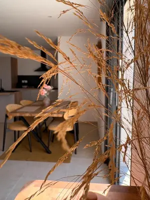 Cuisine ou kitchenette dans l'établissement Casa Nostra