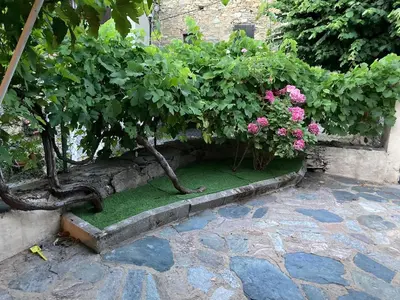 Jardin de l'établissement Maison de village proche Saint-Florent et Bastia