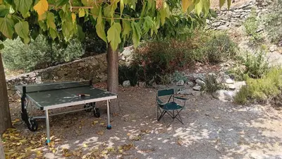 Jardin de l'établissement Maison pour 6 avec piscine
