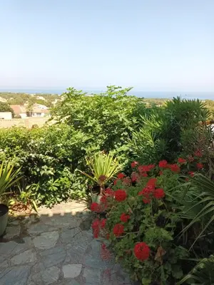 Paysage naturel près de l'appartement