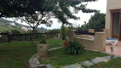 Jardin de l'établissement Bas de Villa chez Mr.Girolami Dominique