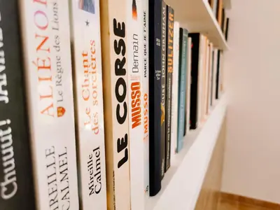 Bibliothèque dans le B&B/chambre d'hôtes