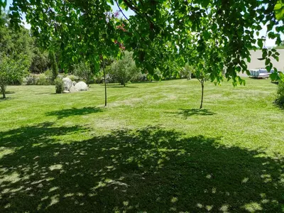 Jardin de l'établissement Maison San Giovanni