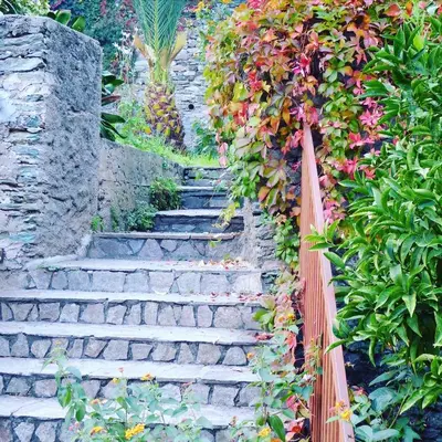 Jardin de l'établissement Hotel Cyrnea