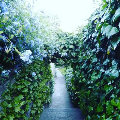 Jardin de l'établissement Hotel Cyrnea