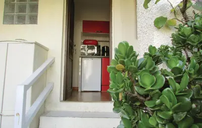 Cuisine ou kitchenette dans l'établissement 1 Bedroom Nice Apartment In Bastia