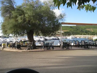 Restaurant ou autre lieu de restauration dans l'établissement La Marine