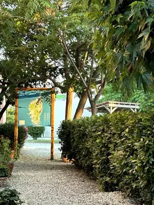 Jardin de l'établissement Le Clos des Arbousiers