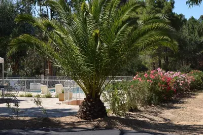 Jardin de l'établissement Camping Paradella