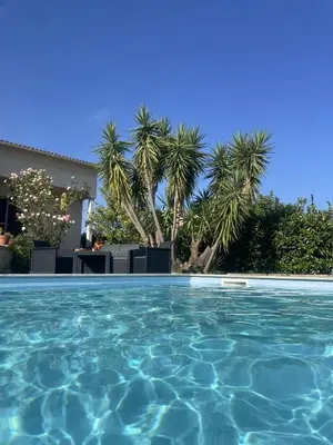 Piscine de l'établissement House Angeli ou située à proximité